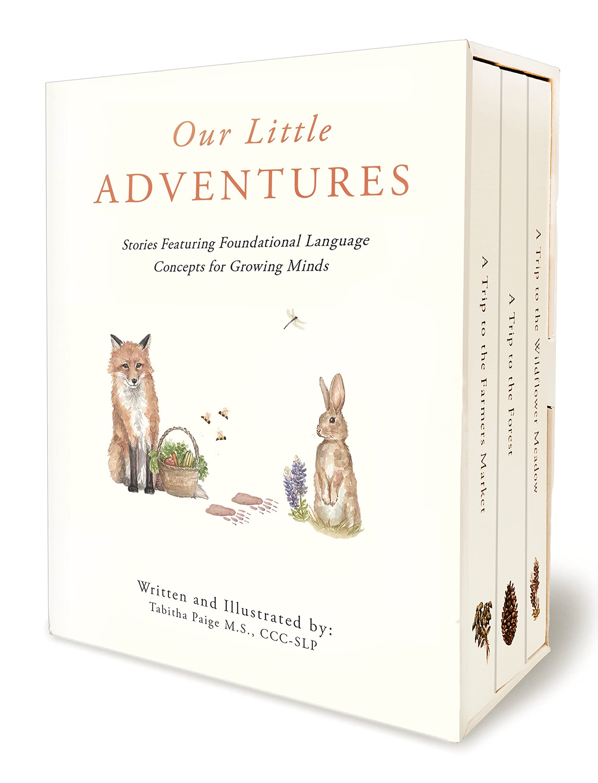 Our Little Adventures: Stories Featuring Foundational Language Concepts for Growing Minds (Tabitha Paige Children's Book Series)