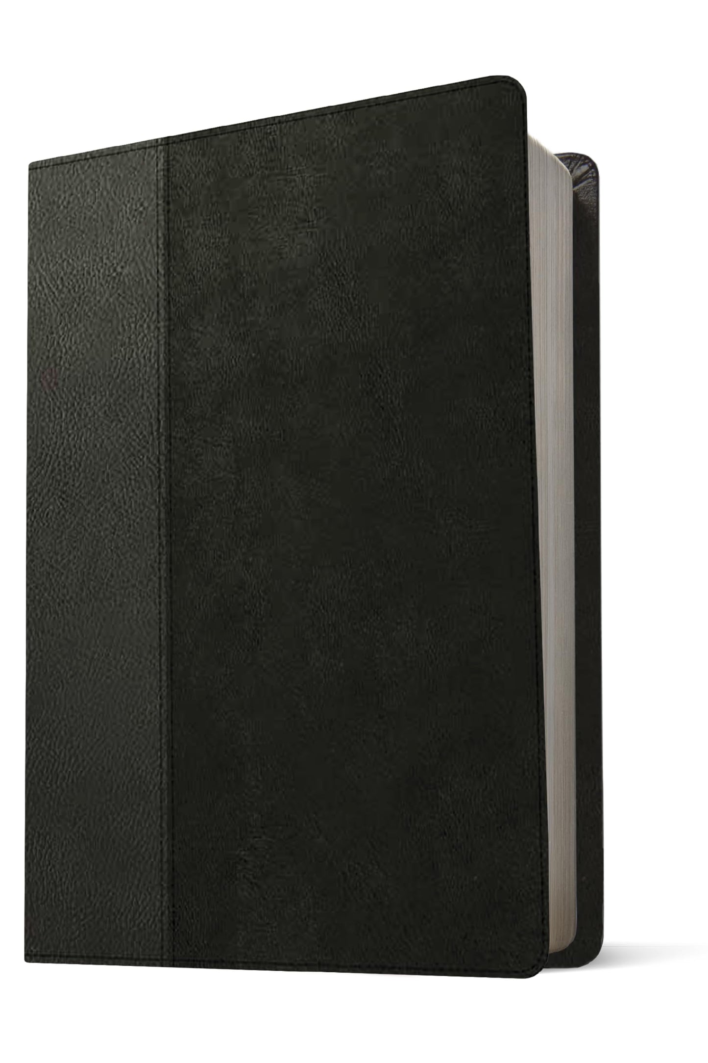 NLT Life Recovery Bible, Second Edition, Personal Size (LeatherLike, Black/Onyx)