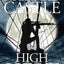 High Heat (Nikki Heat)