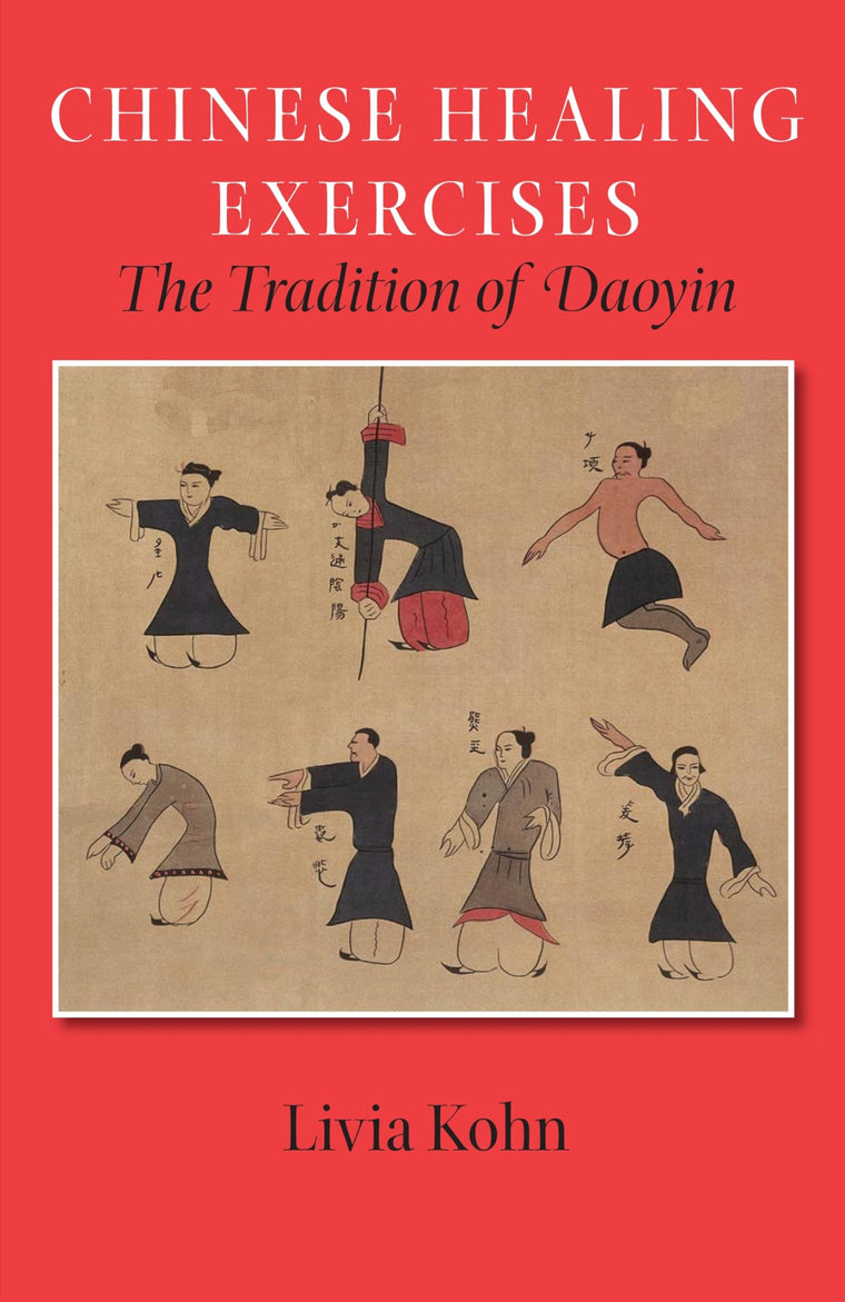 Chinese Healing Exercises: The Tradition of Daoyin (Latitude 20 Books (Paperback))