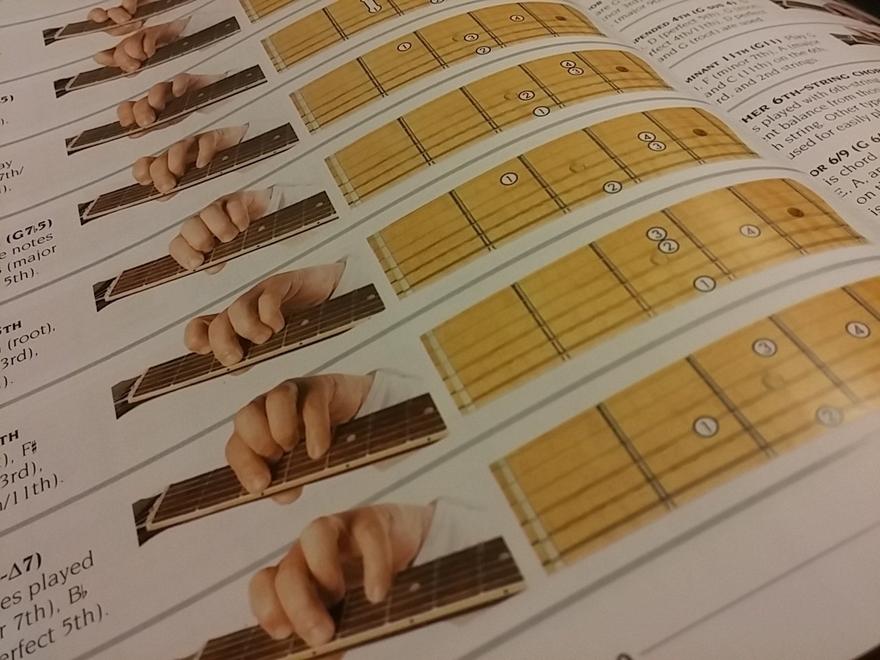 The New Complete Guitarist