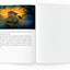 Once upon a Pancake for Young Storytellers (ages 9-12) - Creative, Interactive Activity Book for Kids