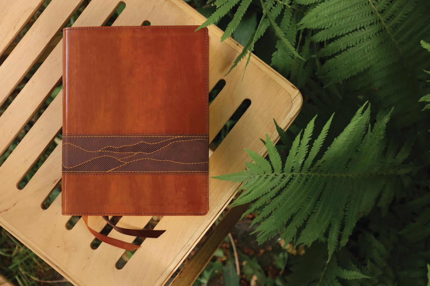 Rooted: The NIV Bible for Men, Leathersoft, Brown, Thumb Indexed, Comfort Print