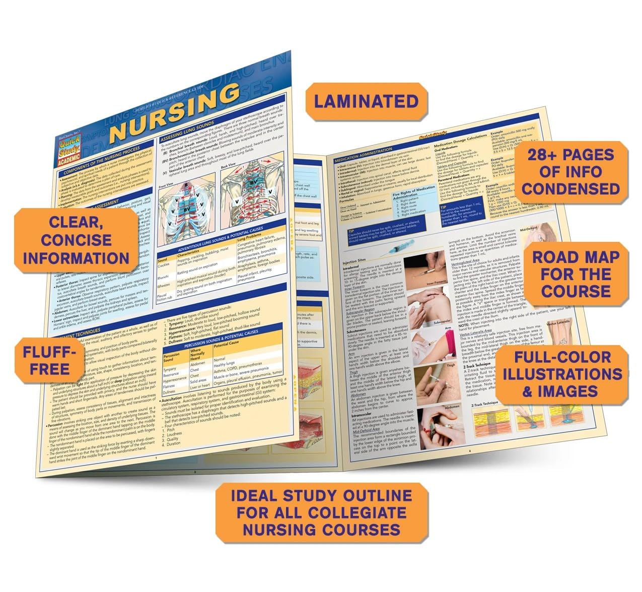 Nursing: a QuickStudy Laminated Reference Guide (Quick Study Academic)