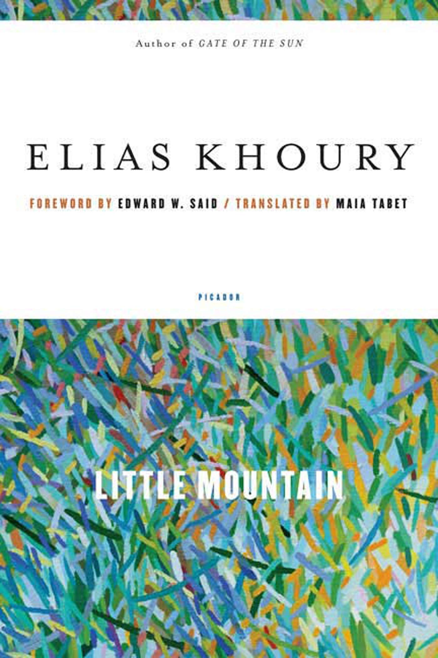 Little Mountain by Khoury, Elias