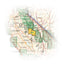 Shaver Lake [Sierra National Forest] (National Geographic Trails Illustrated Map) (National Geographic Trails Illustrated Map, 810)