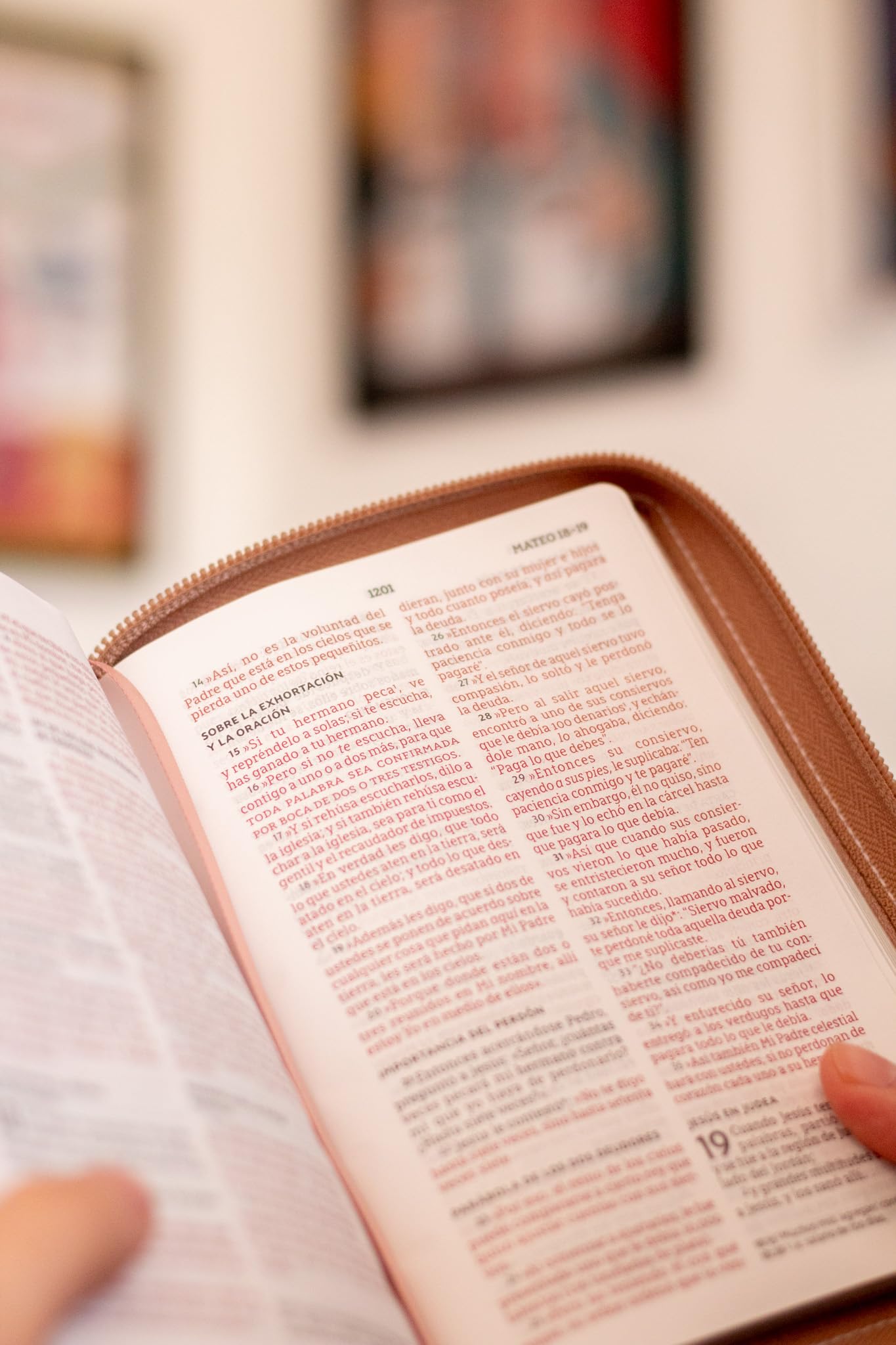 NBLA, Santa Biblia, Edición versificada, Tamao bolsillo, Leathersoft, Con cierre, Oro Rosa, Palabras de Jesús en rojo, Comfort Print (Spanish Edition)