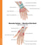 ICD-10-CM Expert 2020 for Providers & Facilities (ICD-10-CM Complete Code Set)