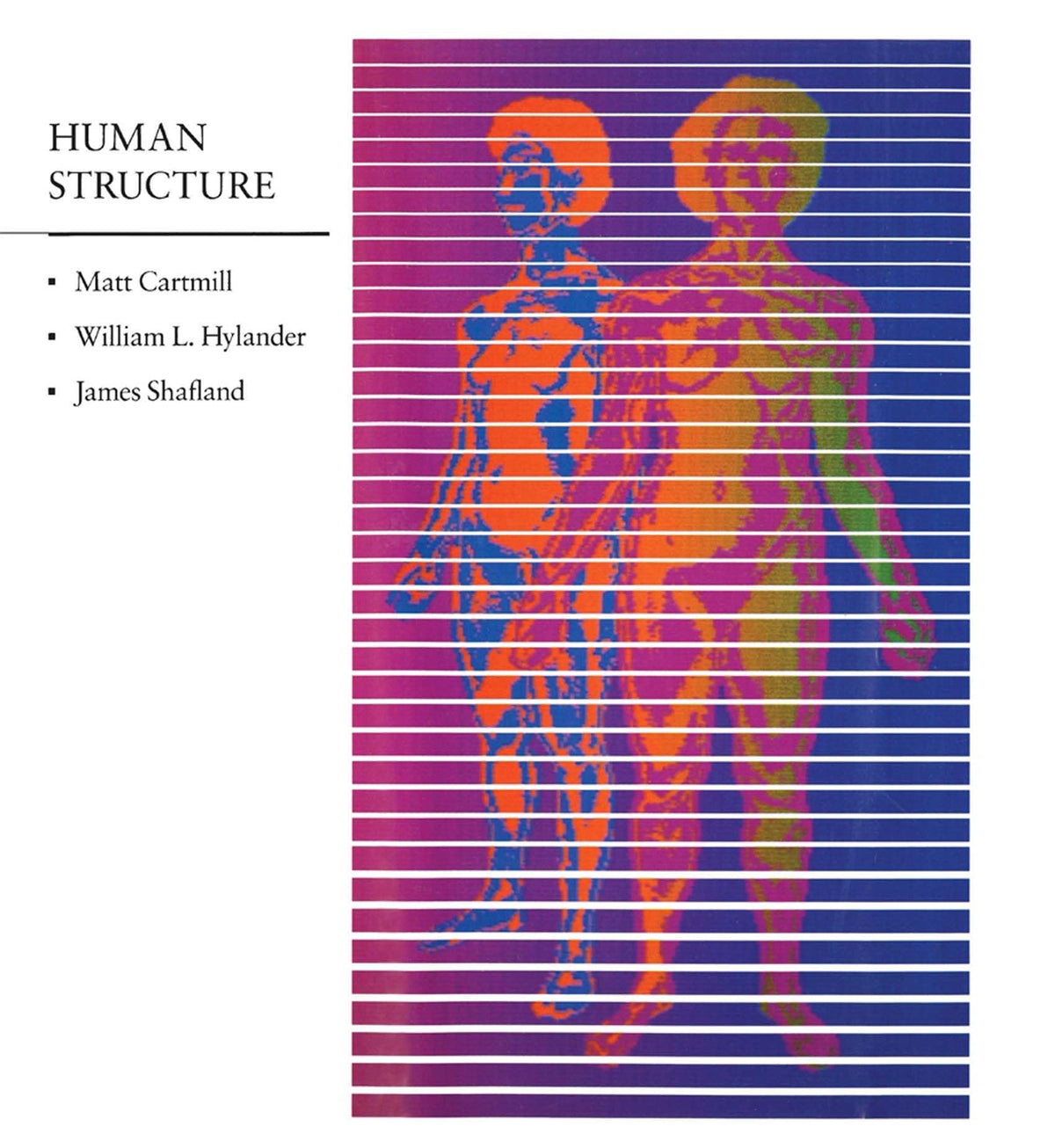 Human Structure