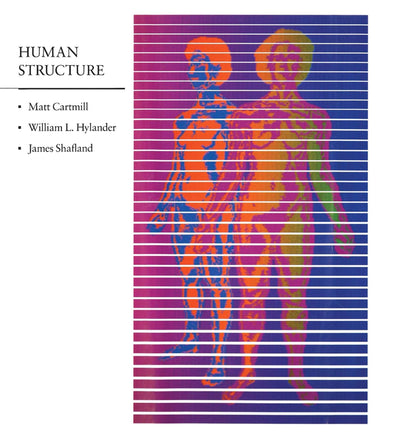 Human Structure