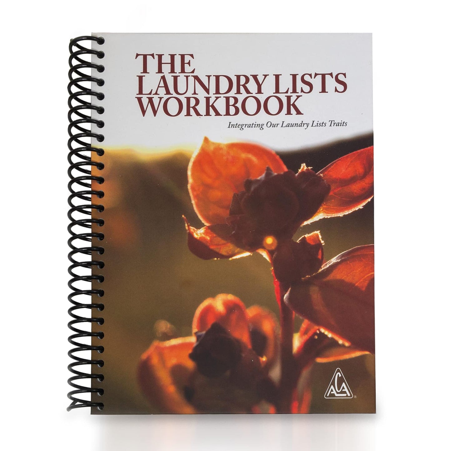 THE LAUNDRY LISTS WORKBOOK Integrating Our Laundry List Trai