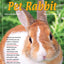 Training Your Pet Rabbit (Training Your Pet Series)