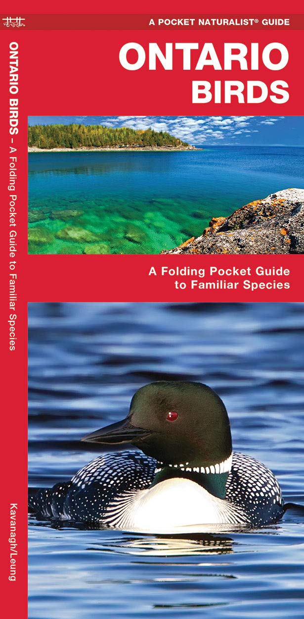 Ontario Birds: A Folding Pocket Guide to Familiar Species (Wildlife and Nature Identification)
