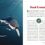 The Shark Handbook: Second Edition: The Essential Guide for Understanding the Sharks of the World