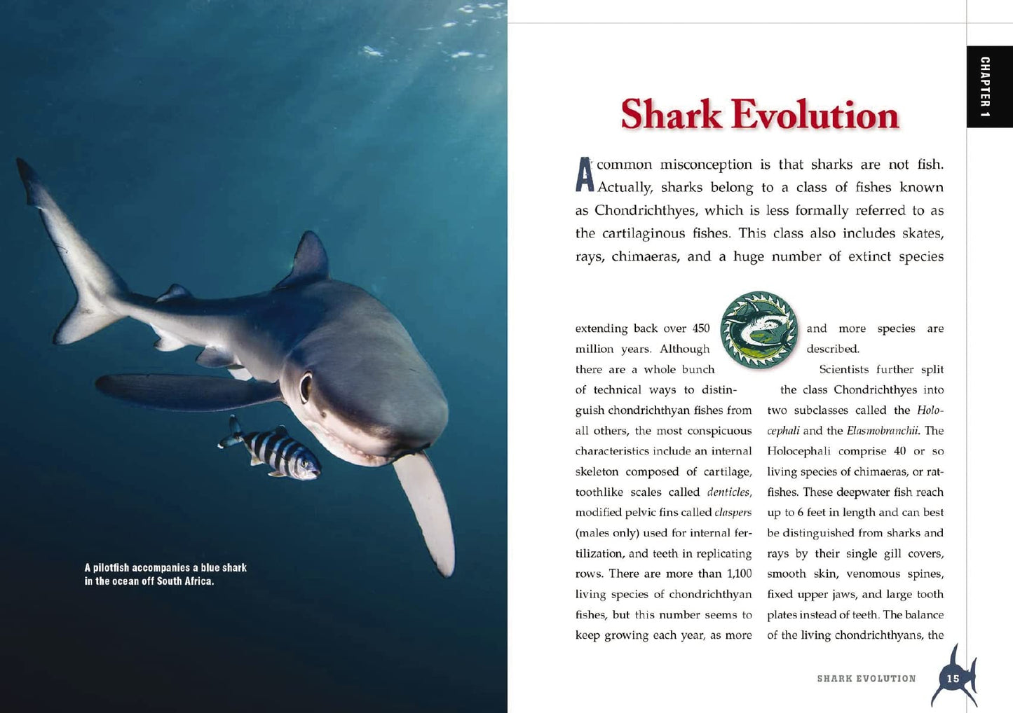 The Shark Handbook: Second Edition: The Essential Guide for Understanding the Sharks of the World