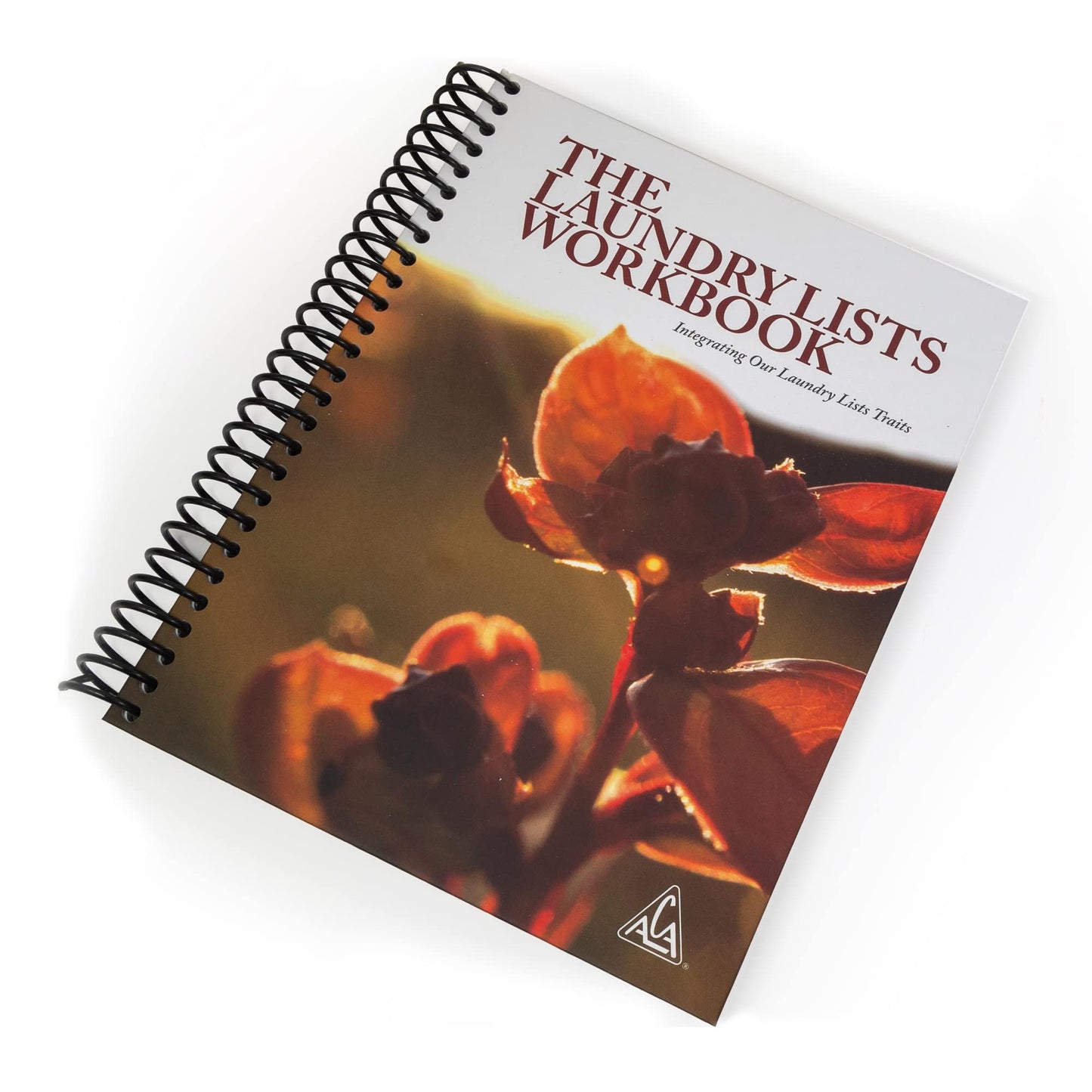 THE LAUNDRY LISTS WORKBOOK Integrating Our Laundry List Trai
