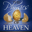 The Physics of Heaven by Davis, Ellyn
