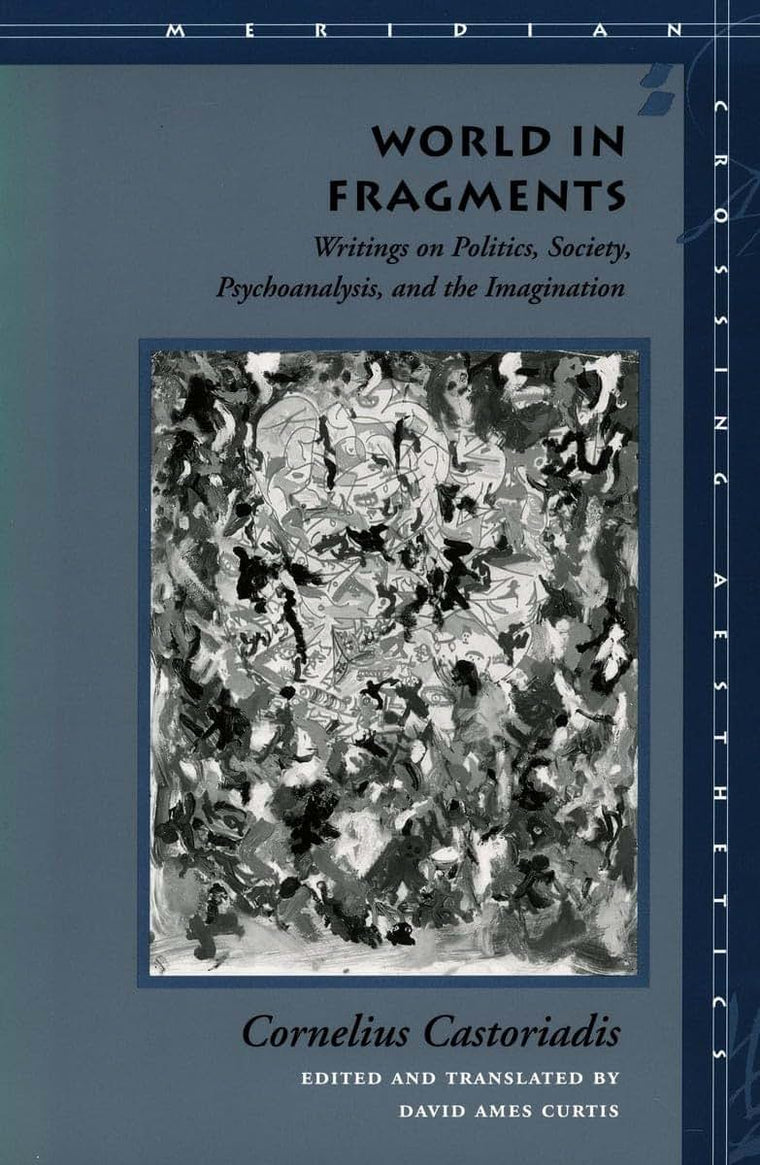 World in Fragments: Writings on Politics, Society, Psychoanalysis, and the Imagination (Meridian - Crossing Aesthetics)