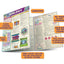 Biology: a QuickStudy Laminated Reference Guide (Quick Study Academic)