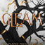 The Plated Prisoner Series 5 Books Collection Set By Raven Kennedy (Gild, Glint, Gleam, Glow, Gold)