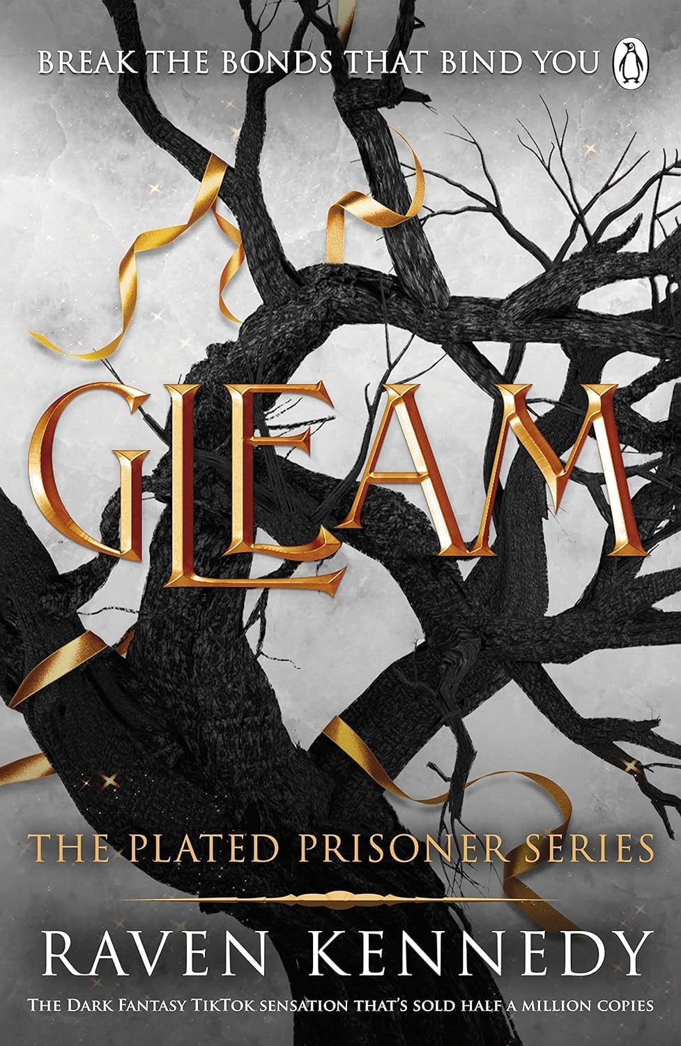 The Plated Prisoner Series 5 Books Collection Set By Raven Kennedy (Gild, Glint, Gleam, Glow, Gold)