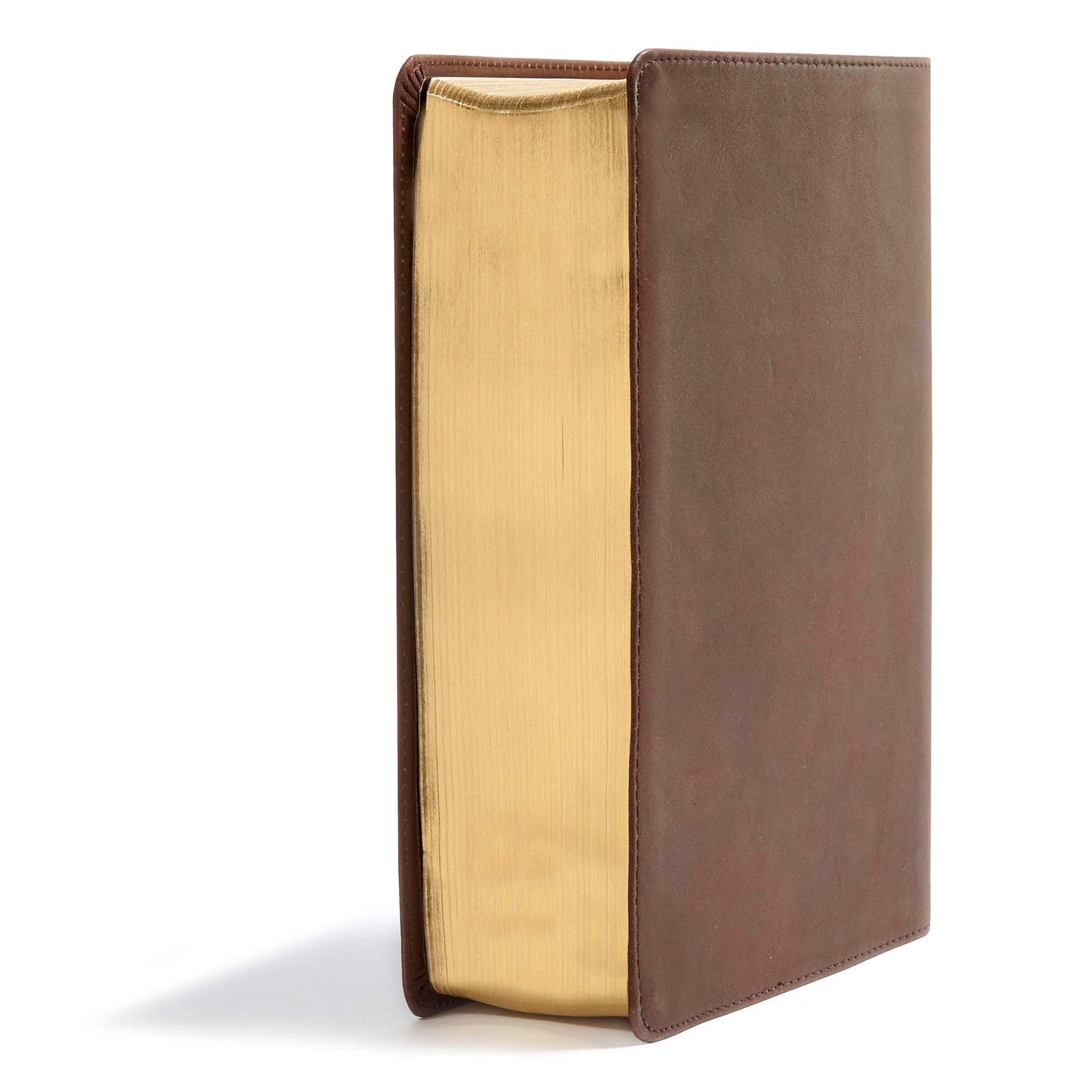 CSB He Reads Truth Bible, Brown Genuine Leather, Black Letter, Wide Margins, Journaling Space, Illustrations, Reading Plans, Single-Column, Easy-to-Read Bible Serif Type