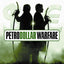 Petrodollar Warfare: Oil, Iraq and the Future of the Dollar