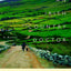 An Irish Country Doctor: A Novel (Irish Country Books, 1)