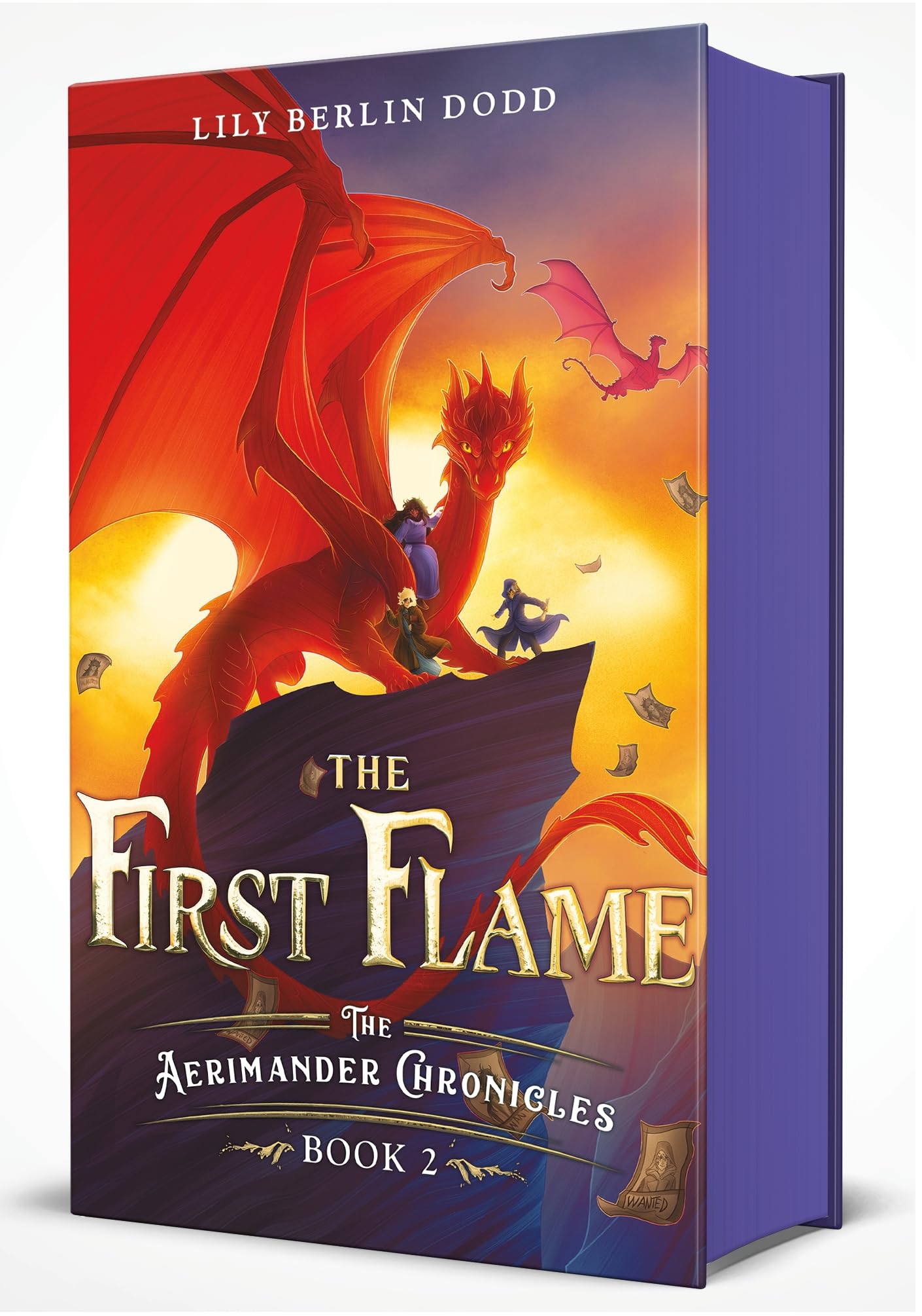 The First Flame: The Aerimander Chronicles Book 2