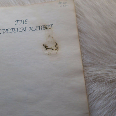 The Velveteen Rabbit: An Easter And Springtime Book For Kids