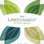 NIV, LifeConnect Study Bible, Hardcover, Red Letter Edition: