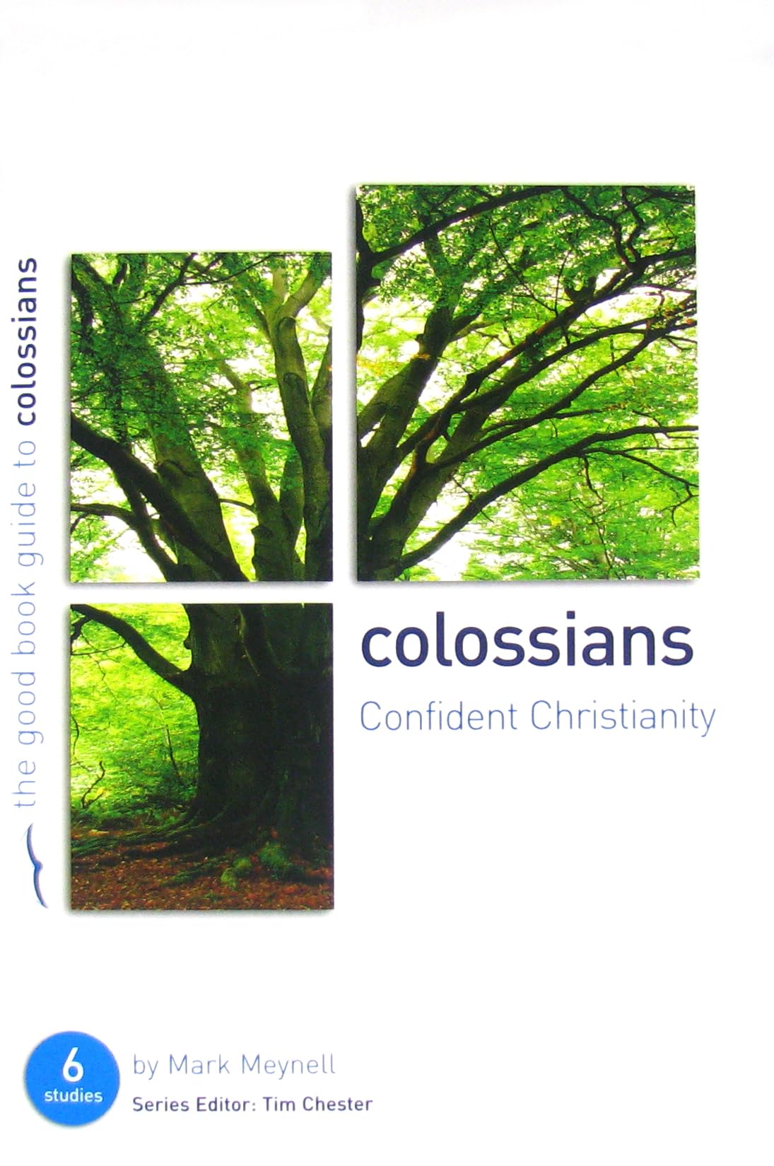 Colossians: Confident Christianity (Good Book Guides)