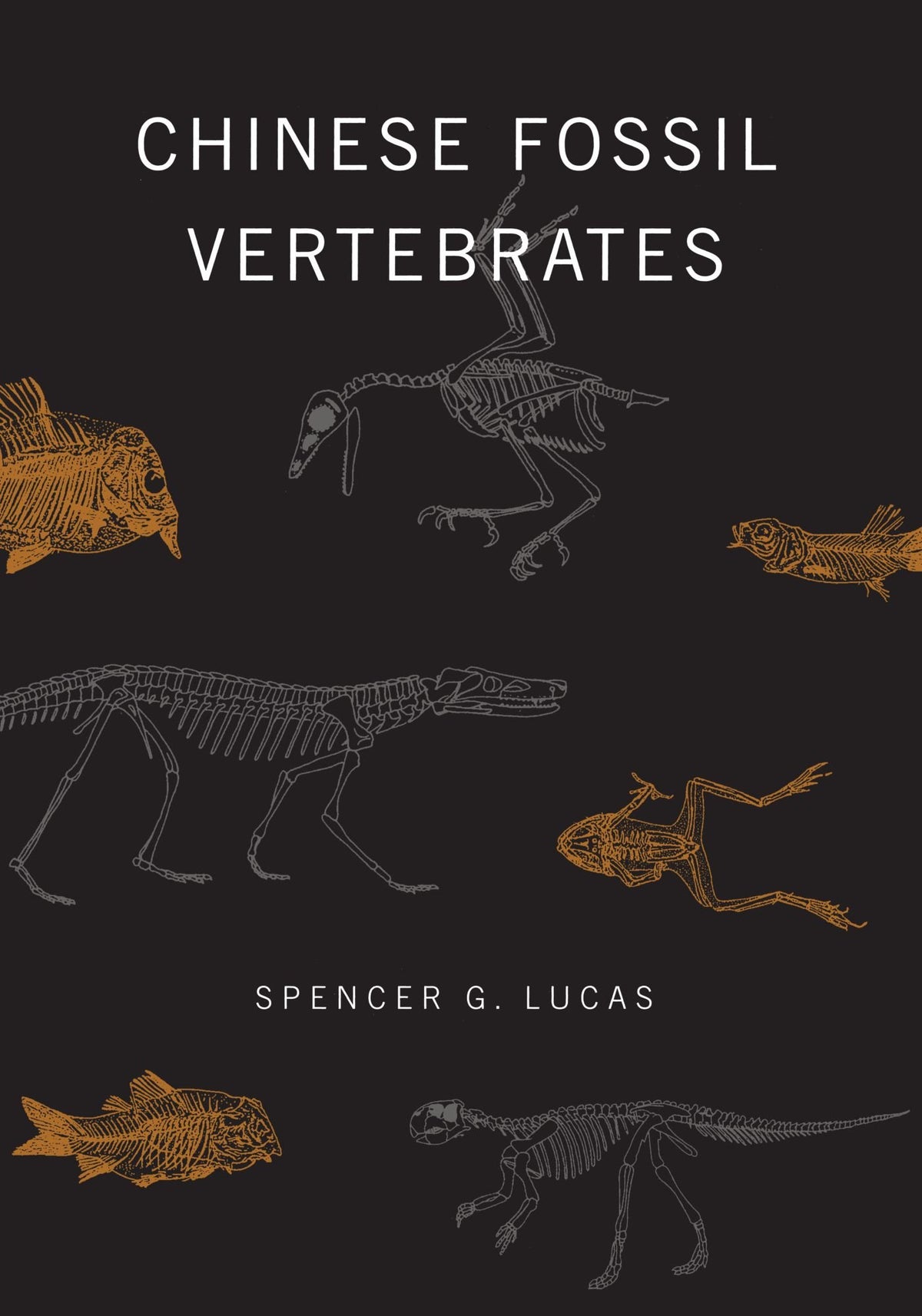 Chinese Fossil Vertebrates