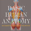 Basic Human Anatomy: An Essential Visual Guide for Artists