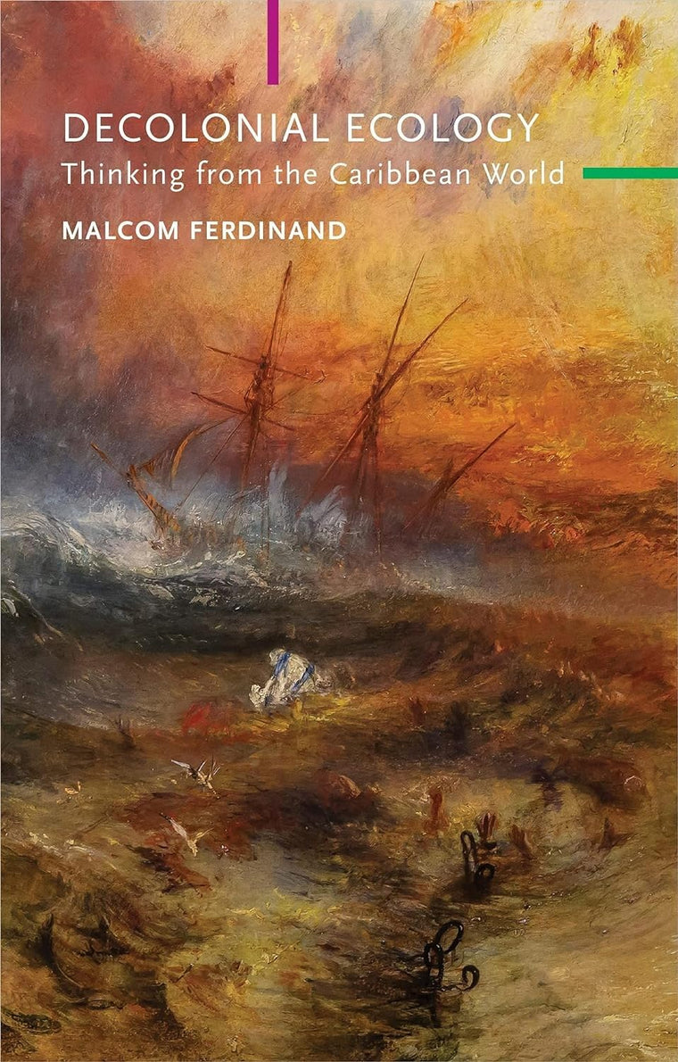 Decolonial Ecology: Thinking from the Caribbean World (Critical South)