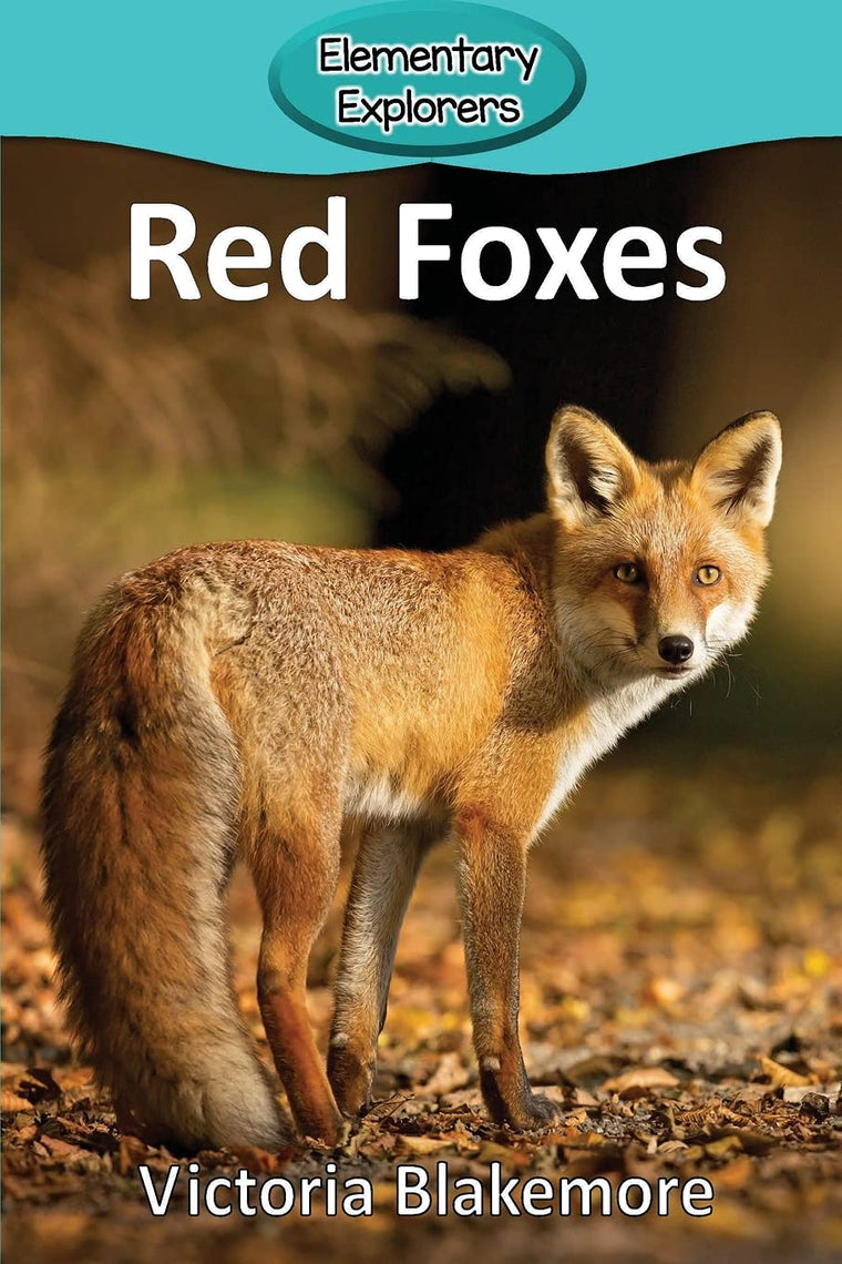 Red Foxes (Elementary Explorers)