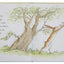 Guess How Much I Love You by Sam McBratney (Hardcover)