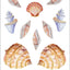 Seashells Sticker Set (over 100 stickers)