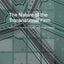 The Nature of the Transnational Firm