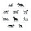 Princeton Architectural Press Dog Box: 100 Postcards by 10 Artists