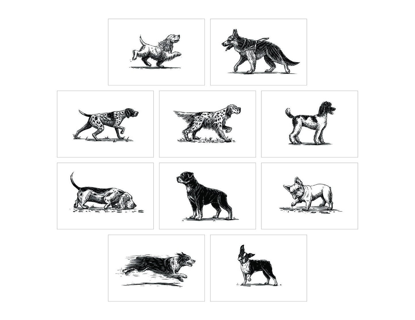 Princeton Architectural Press Dog Box: 100 Postcards by 10 Artists