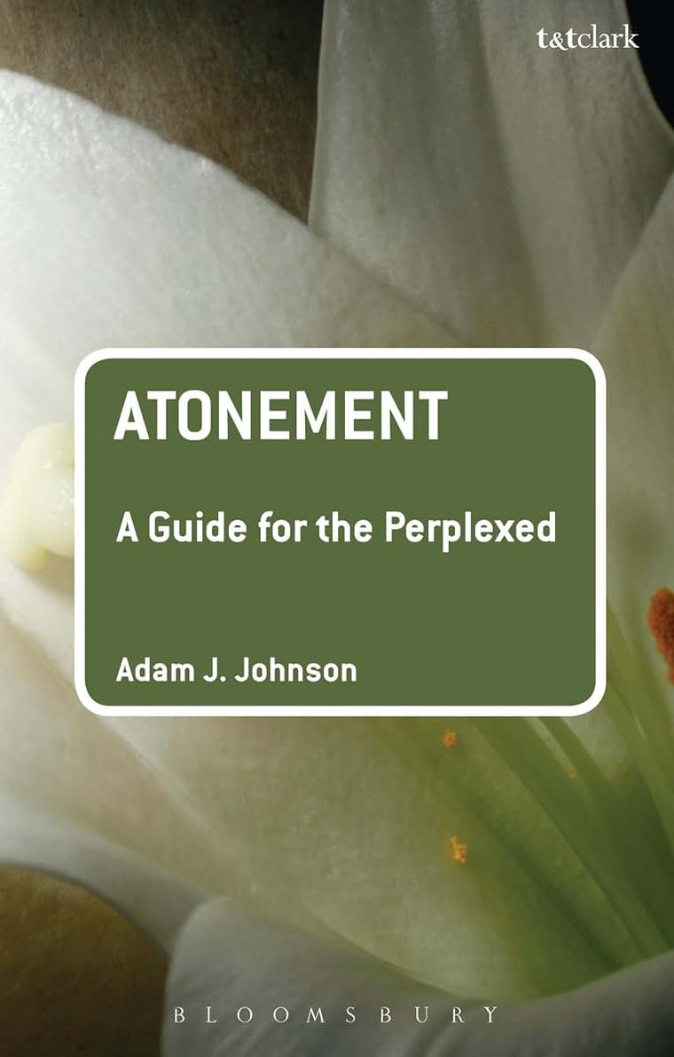 Atonement: A Guide for the Perplexed (Guides for the Perplexed)