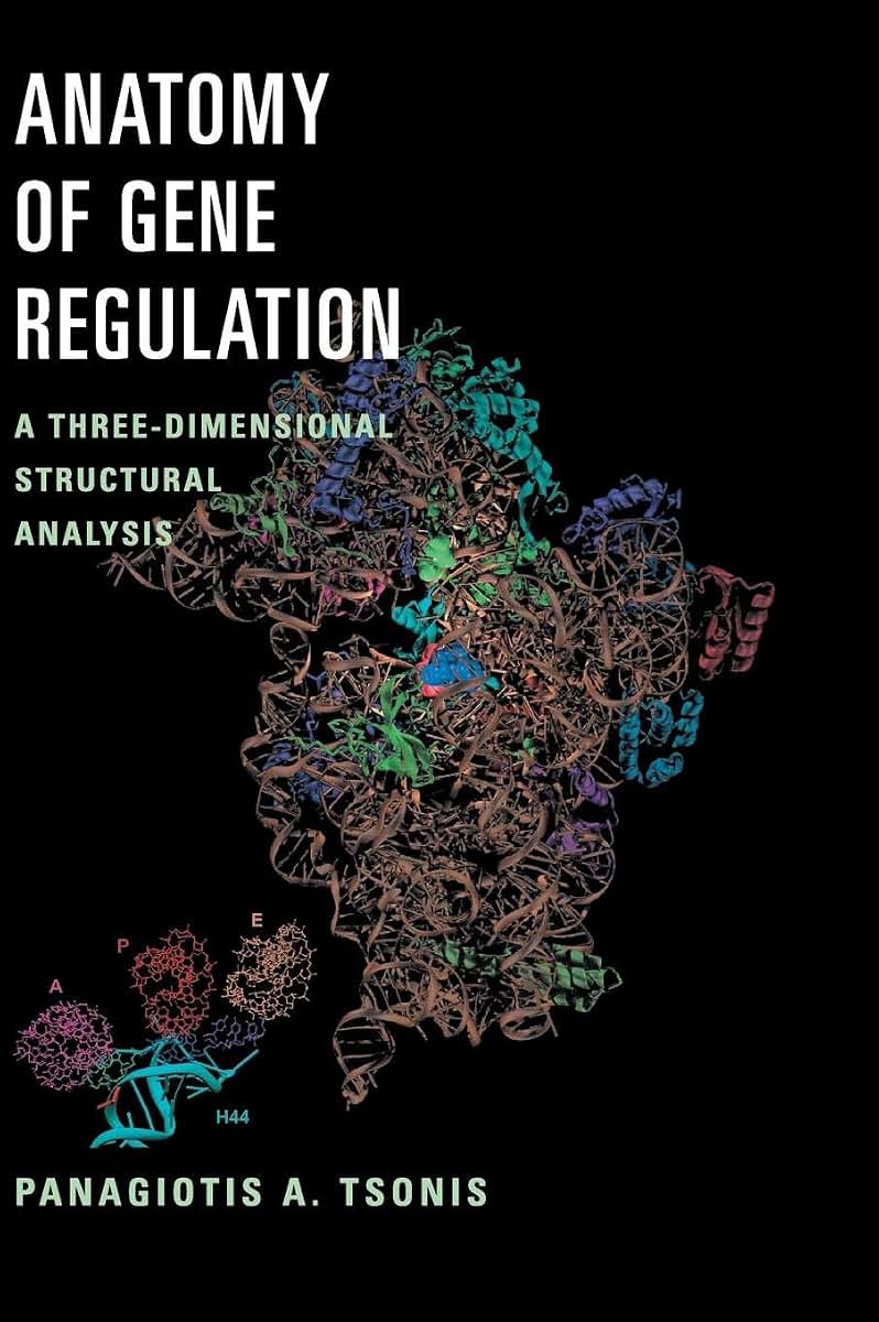 Anatomy of Gene Regulation: A Three-Dimensional Structural Analysis