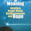 Searching for Meaning: Idealism, Bright Minds, Disillusionment, and Hope