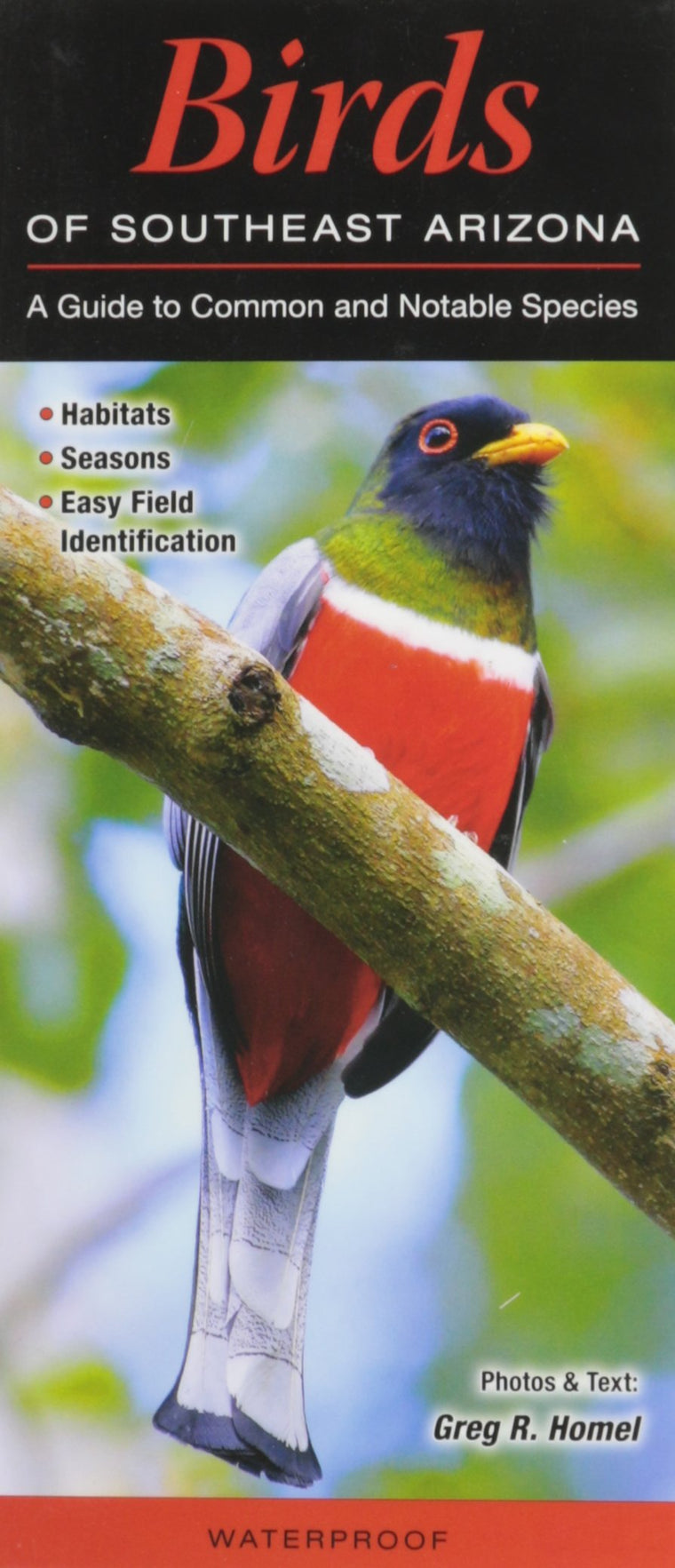Birds of Southeast Arizona: A Guide to Common & Notable Species