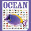 Pocket Genius Ocean