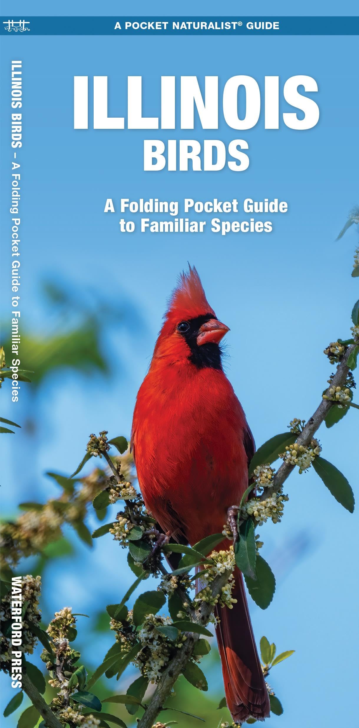 Illinois Birds: A Folding Pocket Guide to Familiar Species (Wildlife and Nature Identification)