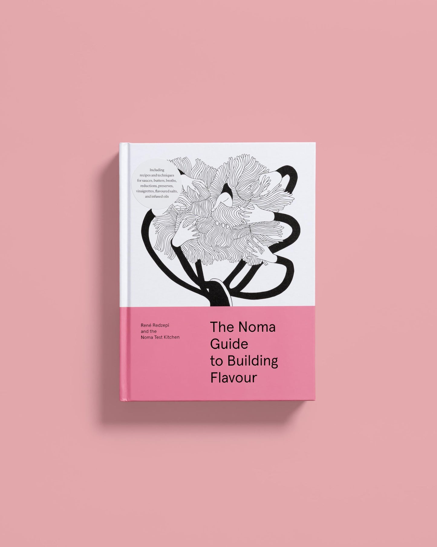 The Noma Guide to Building Flavour: Including recipes and techniques for sauces, butters, broths, reductions, preserves, vinaigrettes, flavoured salts, and infused oils (Foundations of Flavor)