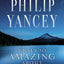 What's So Amazing About Grace? Bible Study Participant's Guide, Updated Edition