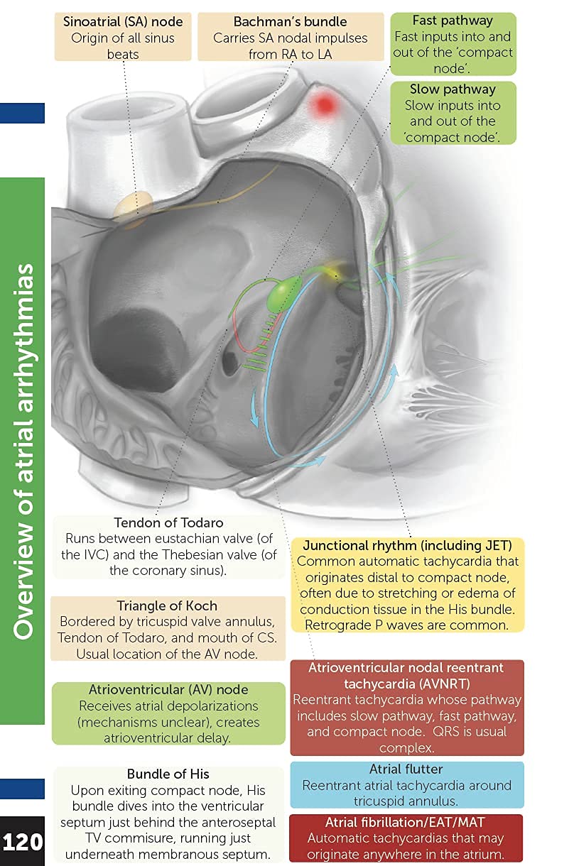 Boston Children's Hospital Cardiac ICU Manual For Bedside Providers - an illustrated handbook of congenital heart disease